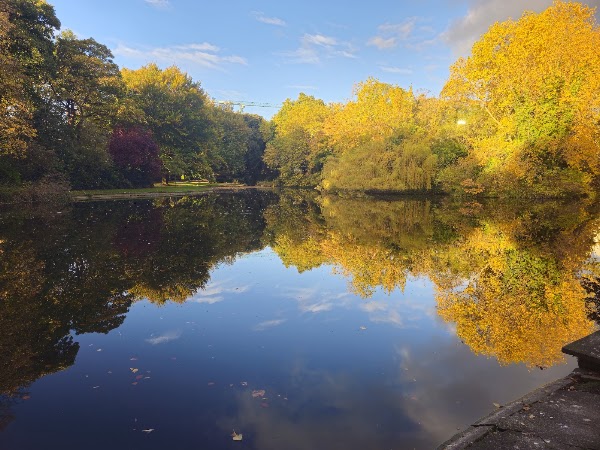 St Stephen's Green 5