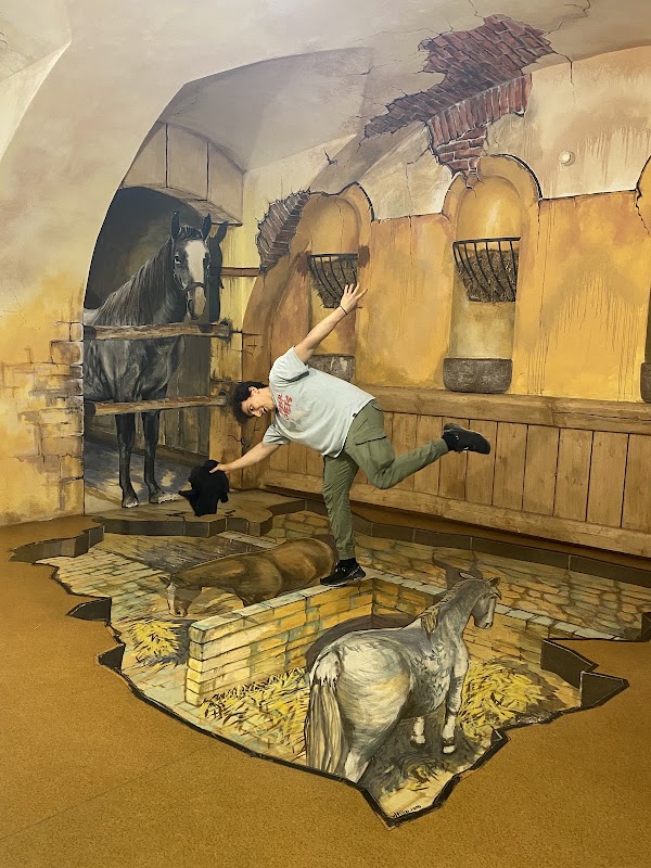 Museum of Senses 4