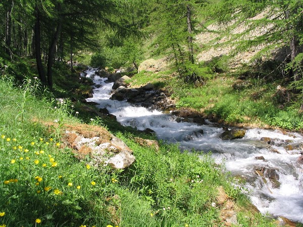 Lac de la Douche 2