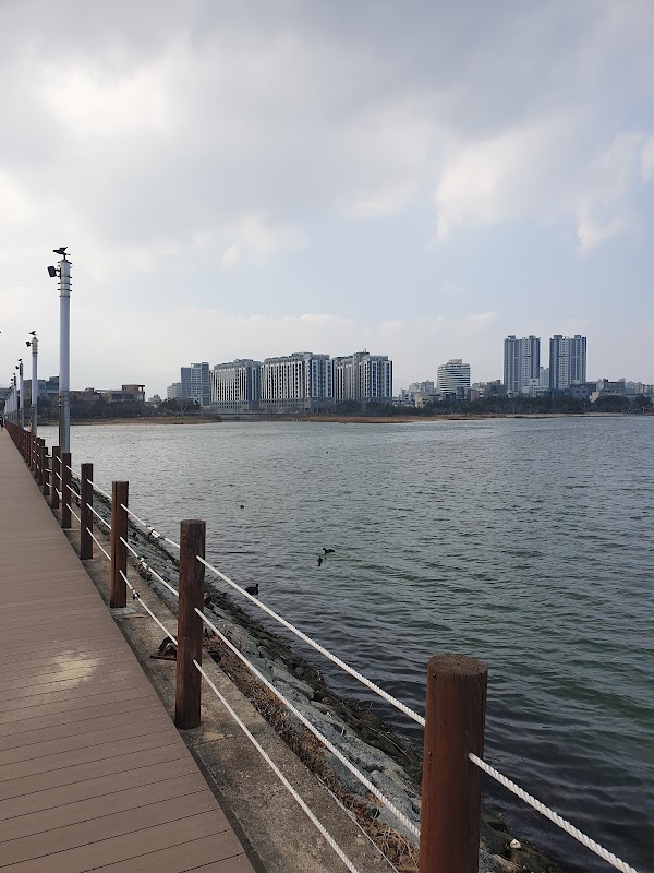 Cheongchoho Lake Park 4