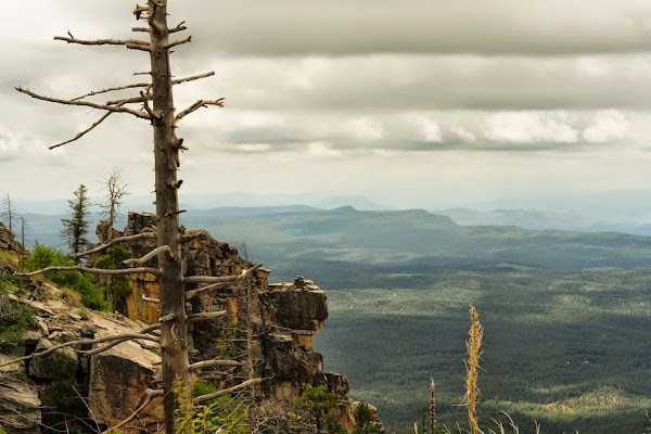 Mogollon Rim 5