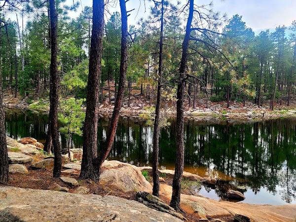 Mogollon Rim 3