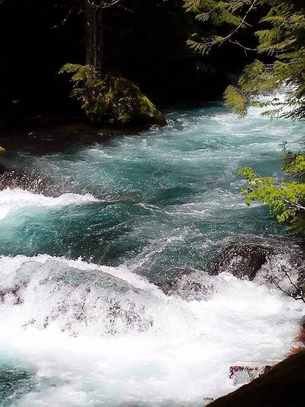 McKenzie River 1