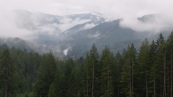 McKenzie River 4