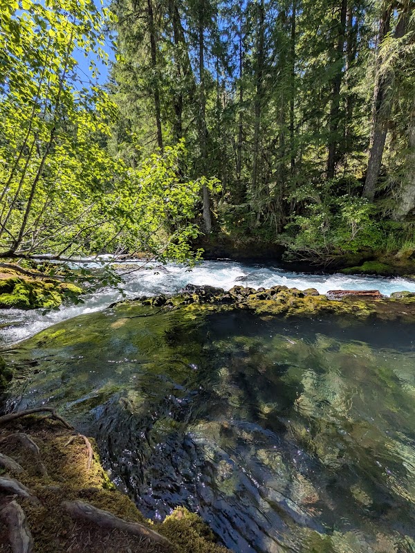 McKenzie River 3