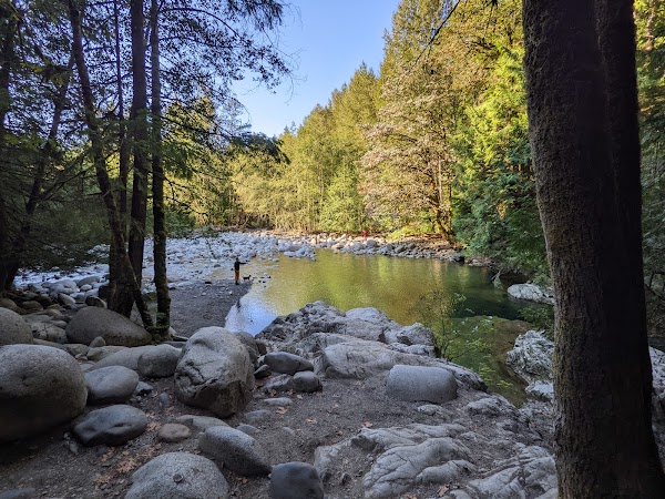 Lynn Canyon Suspension Bridge 3