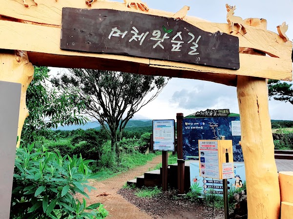 머체왓숲길