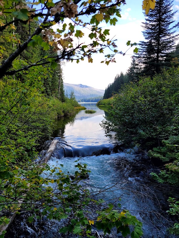 Marion Lake 5
