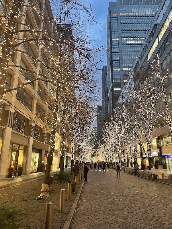 Marunouchi Naka-Dori Ave. 5
