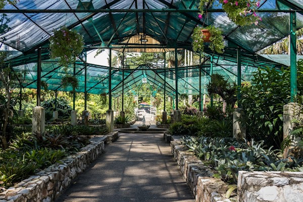 Herb & Spice Garden 1