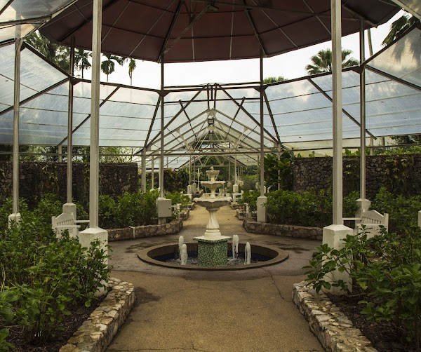 Herb & Spice Garden 4