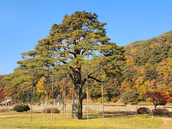 Songnisan National Park 5