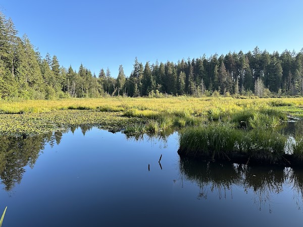 Beaver Lake 1