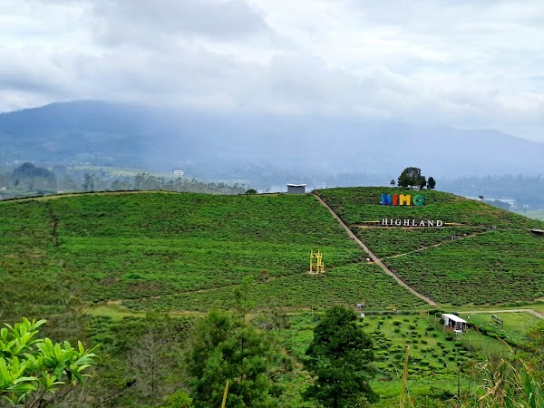 Nimo Highland 1