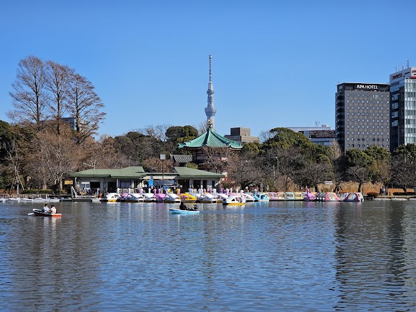 Shinobazu no Ike Pond 5