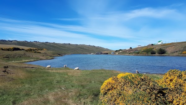 Port Howard 1