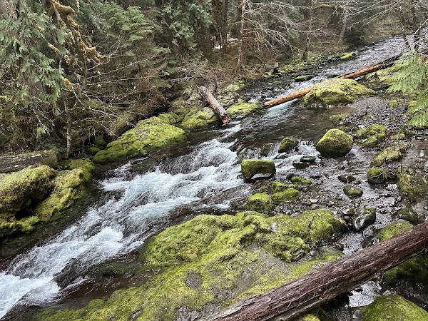 Bagby Hot Springs 5