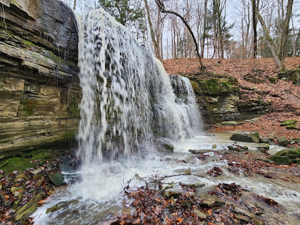 Terrace Creek Falls