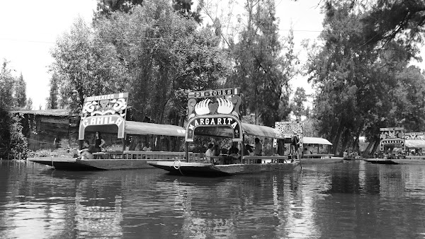 Xochimilco 5