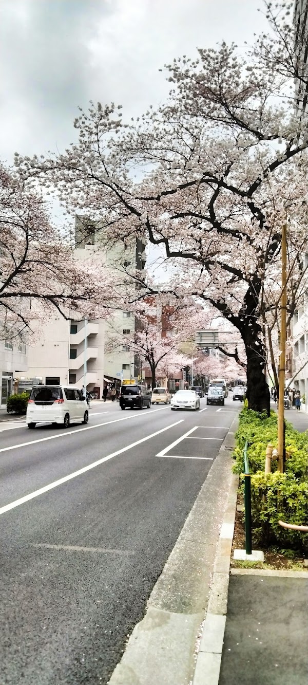 Nakano City 5