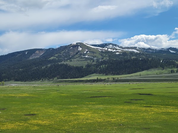 Lamar Valley