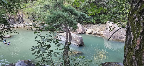 검태오남매 5
