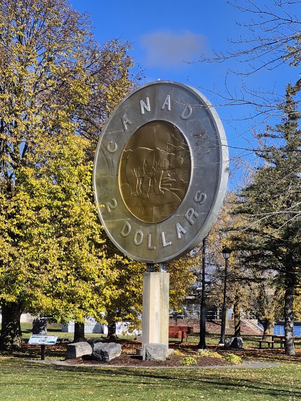 Giant Toonie 1