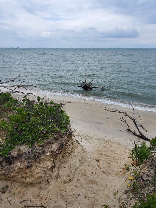 Cape Charles 1