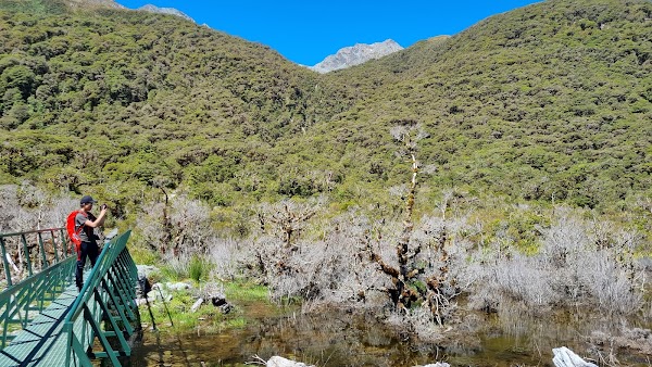 Routeburn Track: Lake Howden Track 1