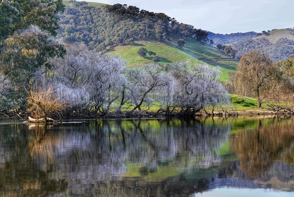 Burrowye Reserve 5