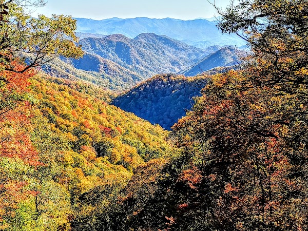 Charles A Webb Overlook 1