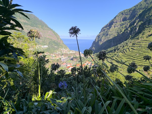 Levada dos Cardais 5