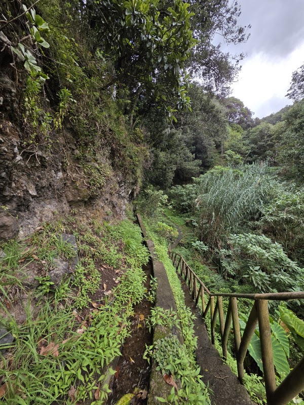 Levada dos Cardais 4