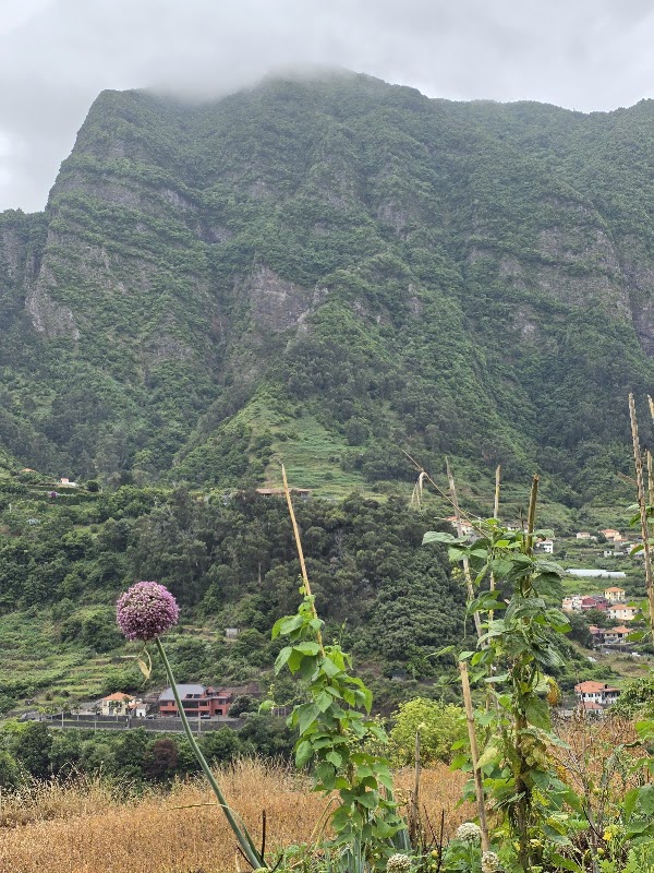 Levada dos Cardais 2