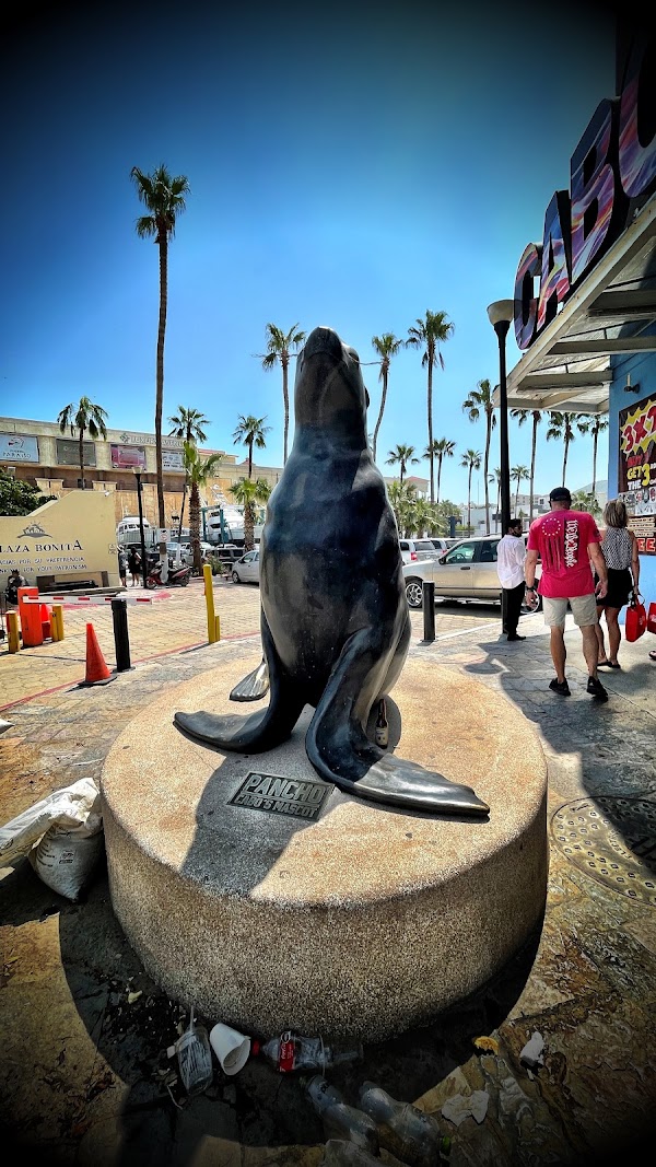 Cabo San Lucas 4