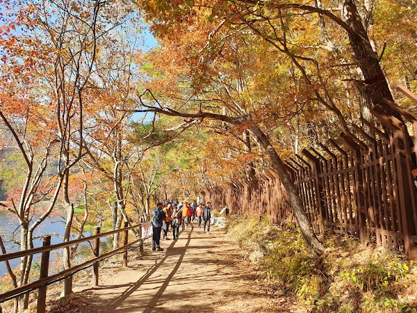 주산지 2