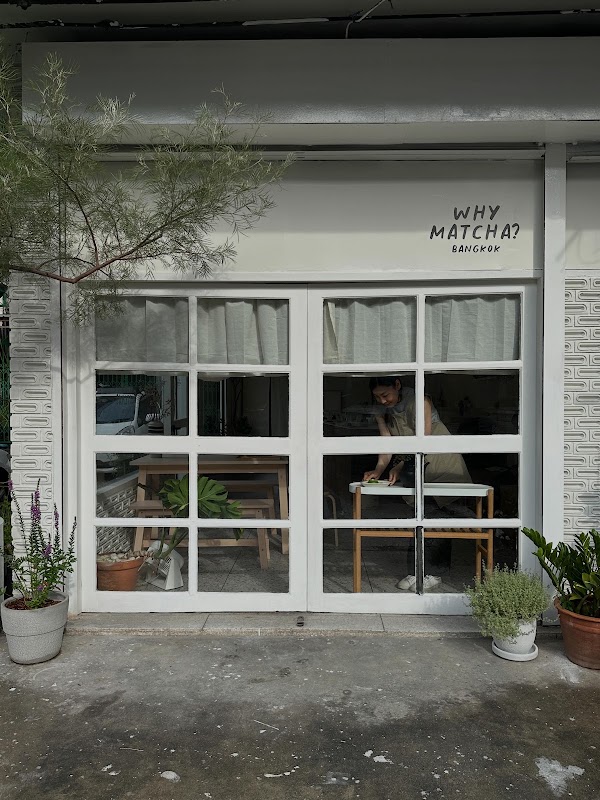 WHY MATCHA?