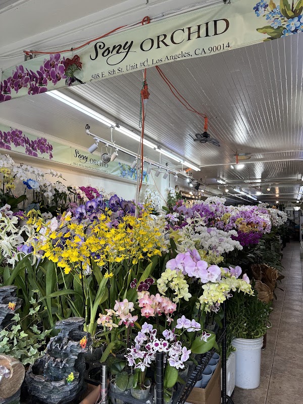 Los Angeles Flower District 5