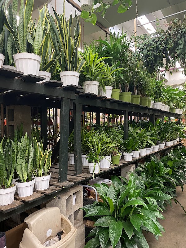 Los Angeles Flower District 4