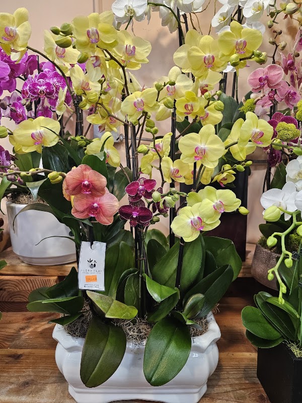 Los Angeles Flower District 3