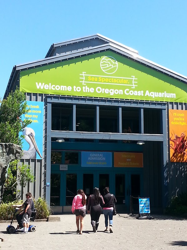 Oregon Coast Aquarium 5