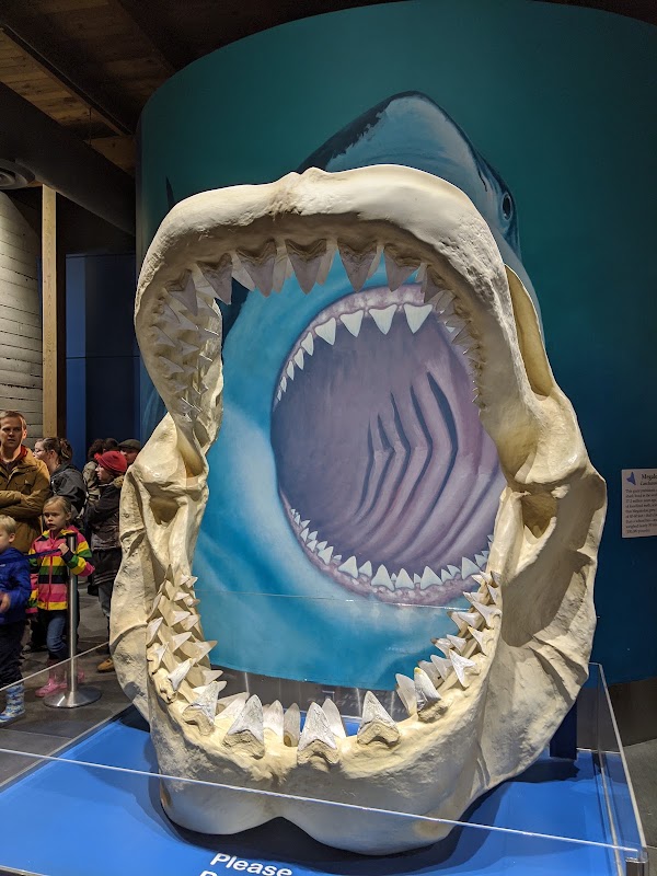 Oregon Coast Aquarium 3