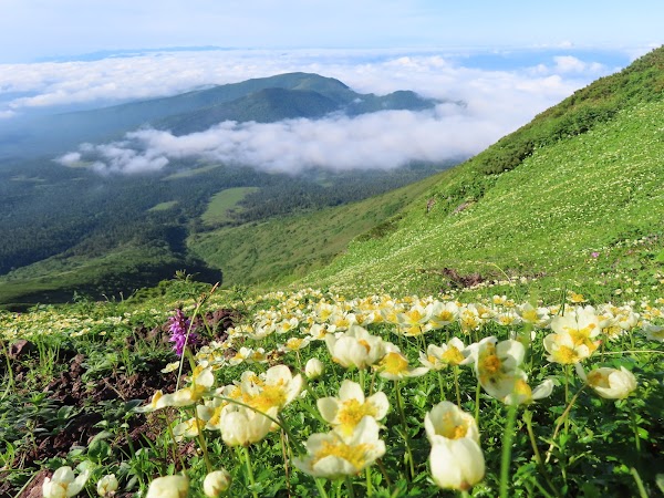 Mount Furano 3