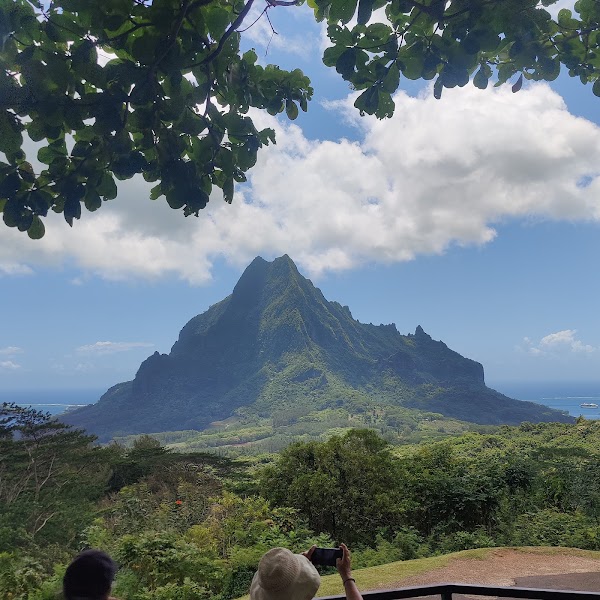 Franckyfranck tours moorea 1