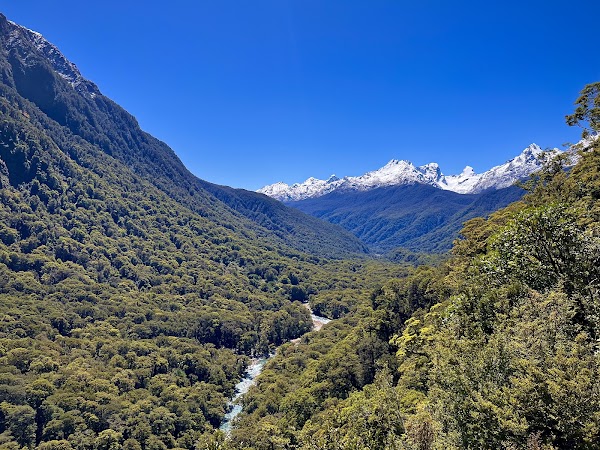 New zealand 53