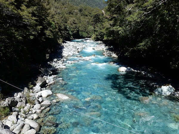 Hollyford Valley Lookout 4