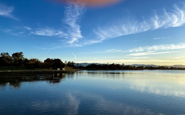 Shoreline Park