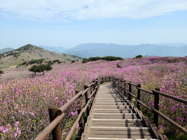 Korea 2026 🌸✈️ 15