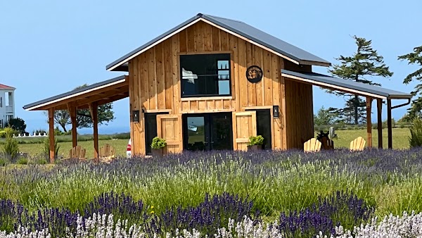 Olympic Bluffs Cidery & Lavender Farm 1