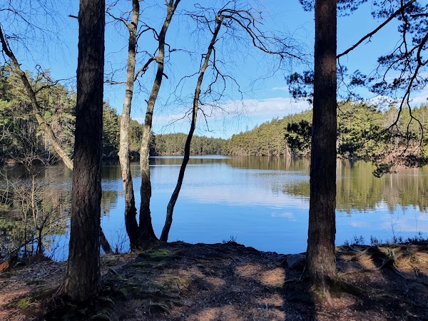 Herrsjöskogens naturreservat 1